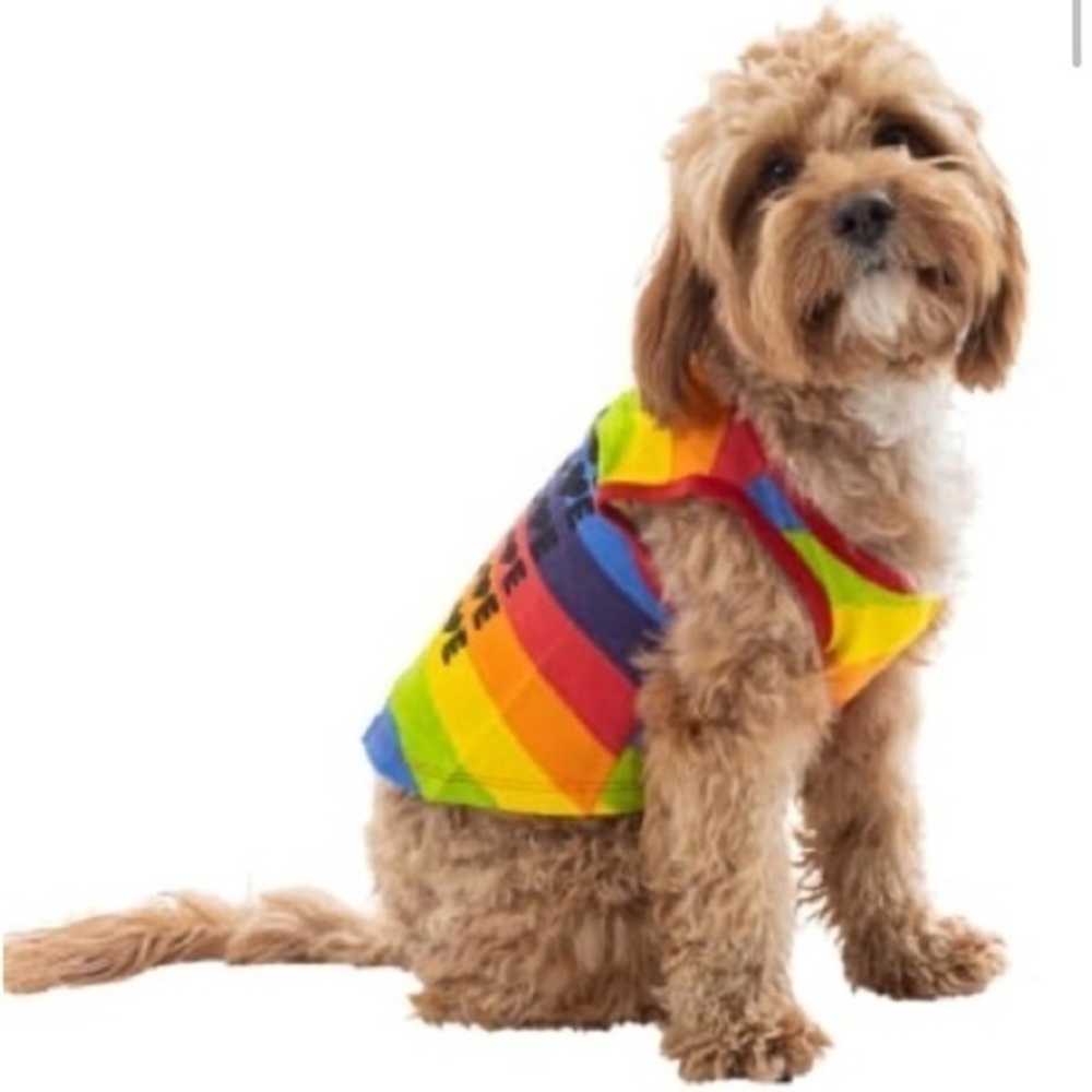 NWOT! LOVE IS LOVE T-Shirt!